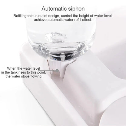 Superidag Automatic Pet Feeder and Water Fountain