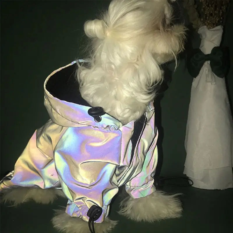 Retro Pearl Windbreaker For Dogs and Cats