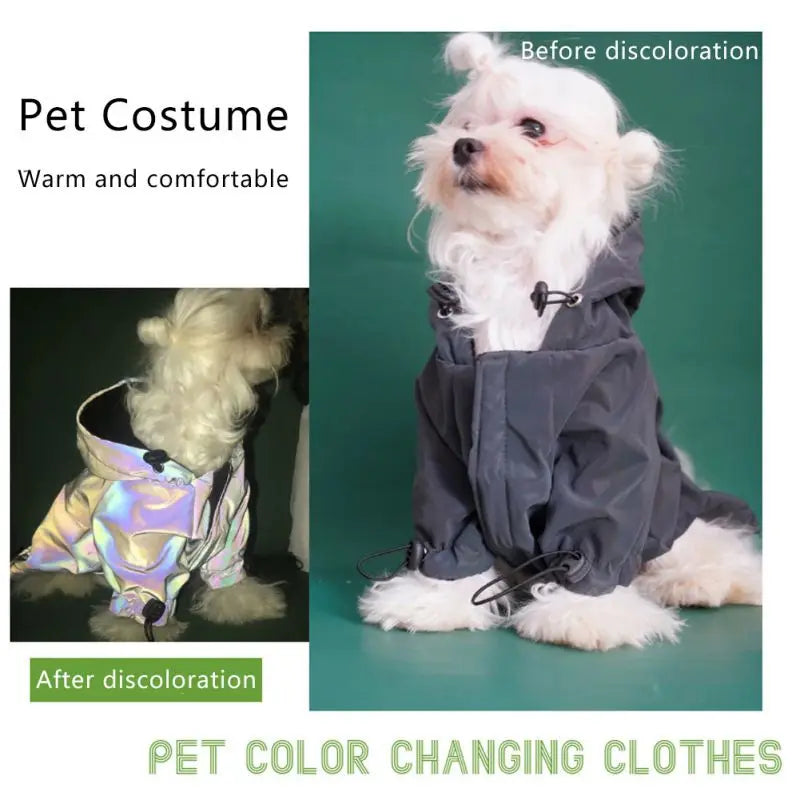 Retro Pearl Windbreaker For Dogs and Cats