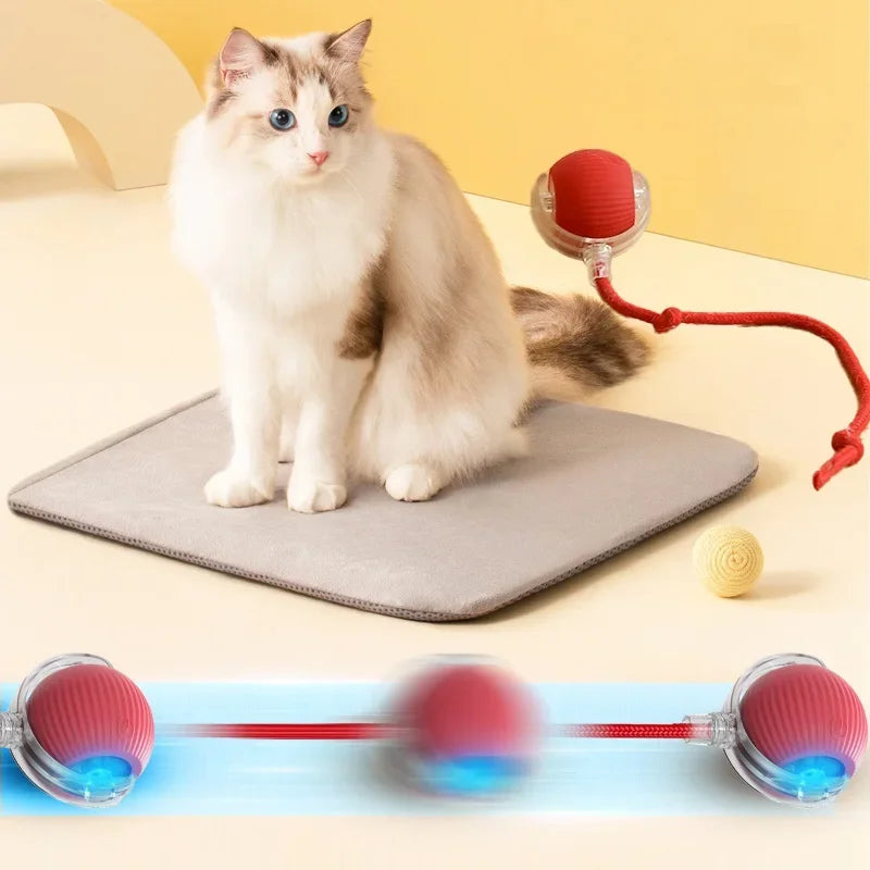 Interactive Smart Ball Auto Electric Rolling Ball Toys for Cats/Kitty Pets Smart Automatic Teaser USB Rechargeable