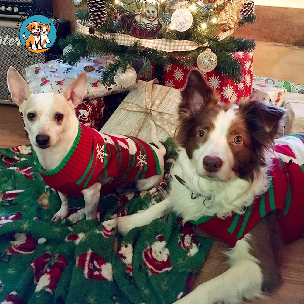 UGLY Snowman Christmas Sweaters  for Small Dog and Cat(Snowman,Xxl)