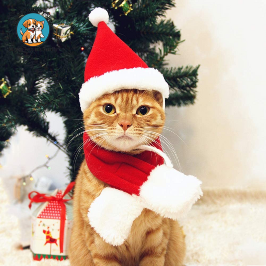  Kitty Santa Hat with Scarf